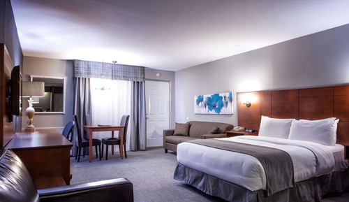Room, 1 Queen Bed