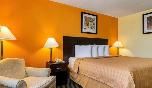 Room, 1 King Bed