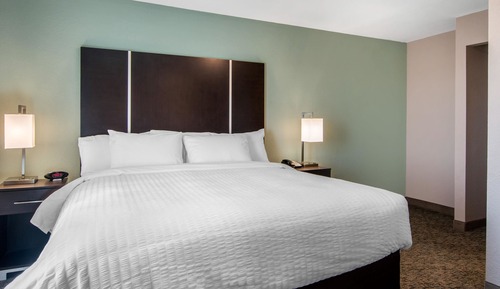 Room, 1 King Bed, Accessible, Non Smoking
