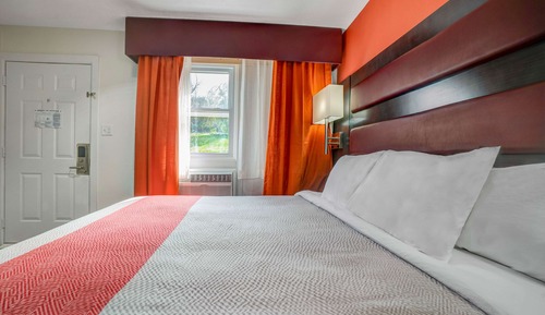 Standard Room, 1 King Bed, Non Smoking