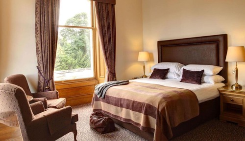 Executive King Room
