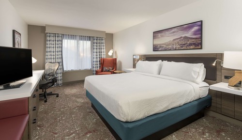 Room, 1 King Bed (Walk-In Shower)
