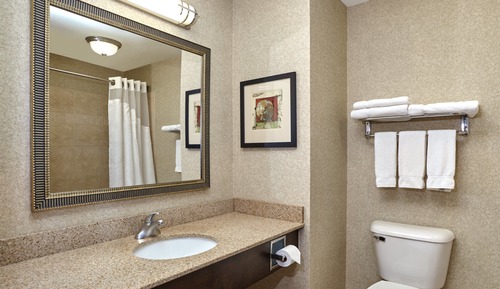 Suite, 1 King Bed with Sofa bed