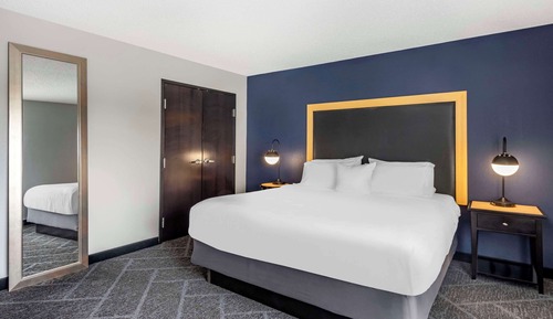 Suite, 1 King Bed with Sofa bed, Non Smoking