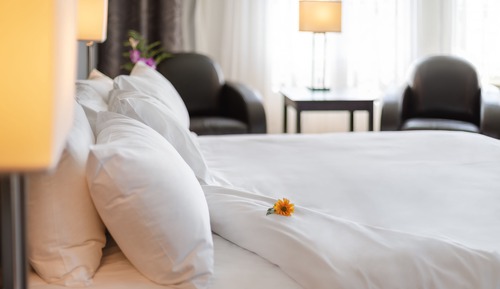 Suite, 1 King Bed with Sofa bed
