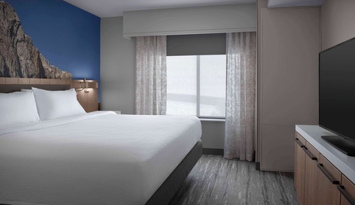 One King Bed Evolution Suite