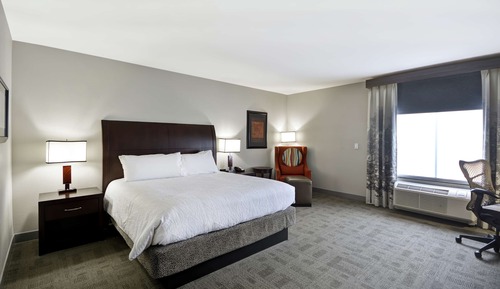 Room, 1 King Bed, Accessible