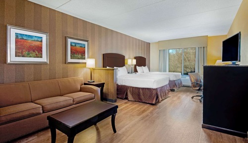 Studio Suite, Multiple Beds, Non Smoking