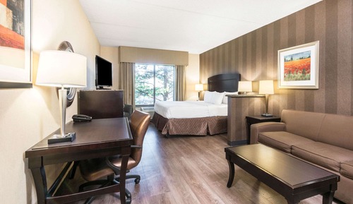 Studio Suite, 1 King Bed with Sofa bed, Non Smoking