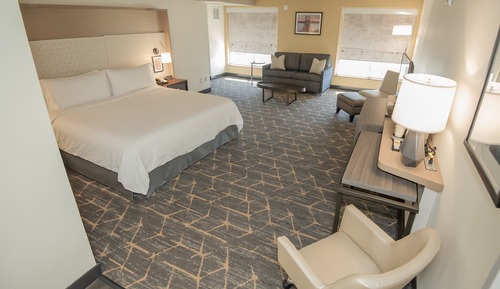 Standard Room, 1 King Bed, Accessible (Communications, Accessible Tub)