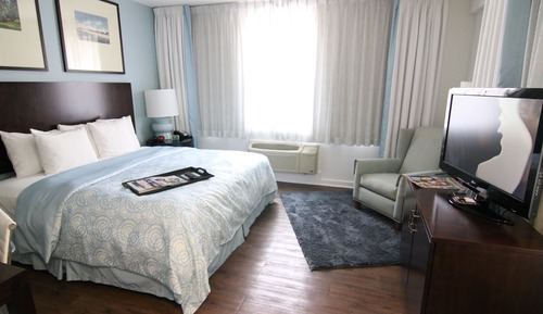 Room, 1 King Bed