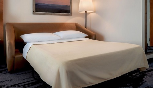 Standard Room, 1 King Bed with Sofa bed, Smoking (Mobility Accessible, Roll-in Shower)