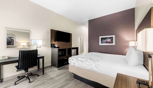 Standard Room, 1 King Bed, Non Smoking, Refrigerator & Microwave (with Sofabed)