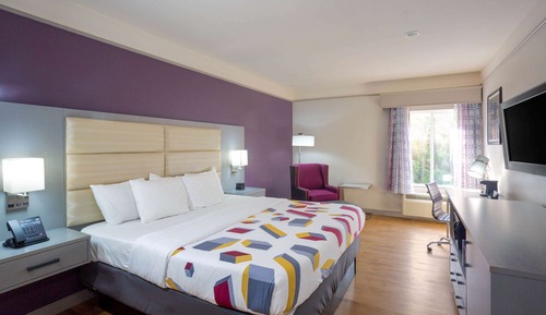 Room, 1 King Bed