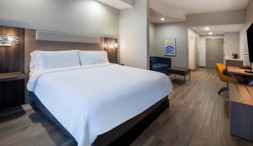 Suite, 1 King Bed with Sofa bed