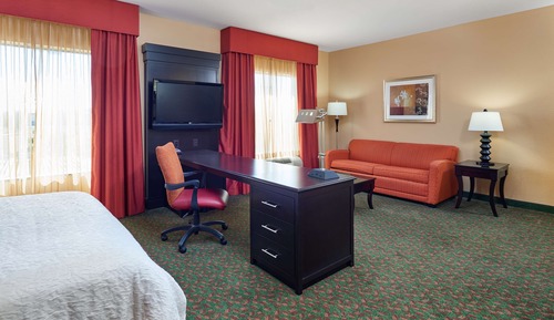 Room, 1 King Bed with Sofa bed, Non Smoking