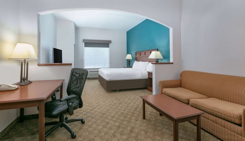Suite, 1 King Bed, Accessible, Non Smoking (Roll-In Shower)