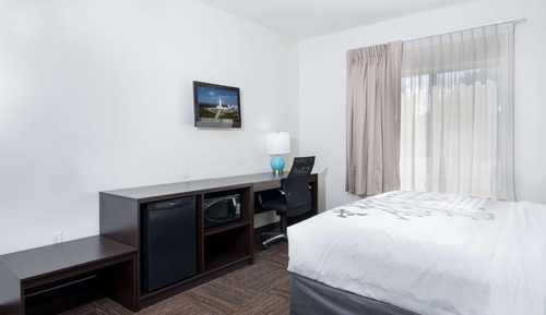 Suite, 1 King Bed, Non Smoking (Roll-In Shower)