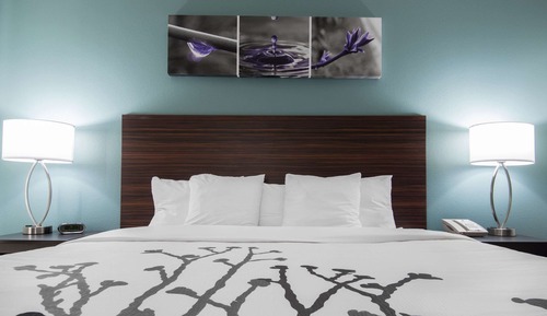 Room, 1 King Bed, Accessible, Non Smoking (Accessible Tub)