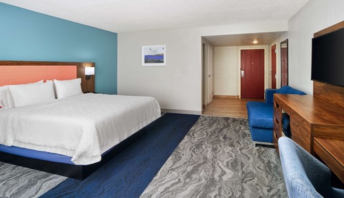 Room, 1 King Bed, Accessible, Bathtub (Mobility & Hearing)