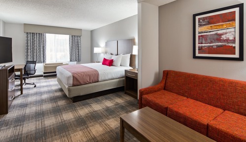 Suite, 1 King Bed, Non Smoking, Microwave