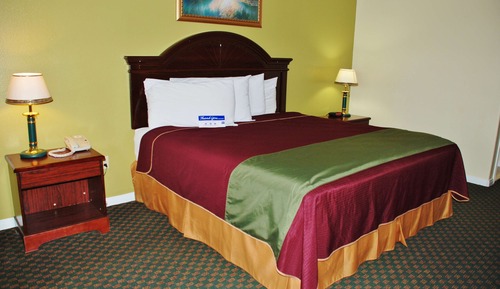 Room, 1 King Bed