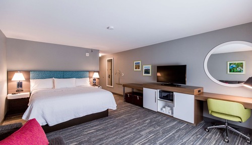 Room, 1 King Bed, Non Smoking, Refrigerator & Microwave