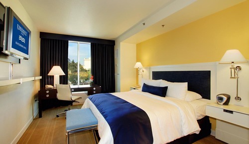 Traditional Room, 1 King Bed