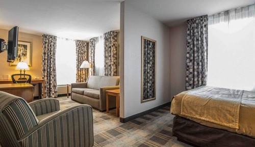 Suite, 1 Queen Bed