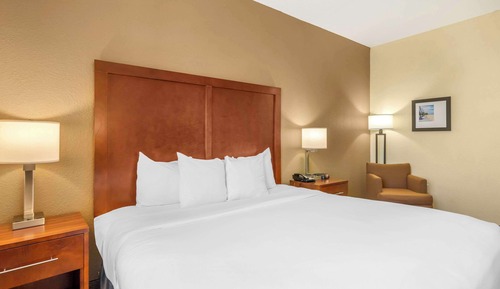 Standard Room, 1 King Bed, Non Smoking