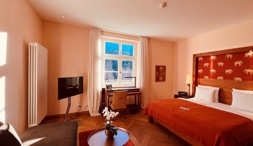Deluxe Double Room (Hideaway)