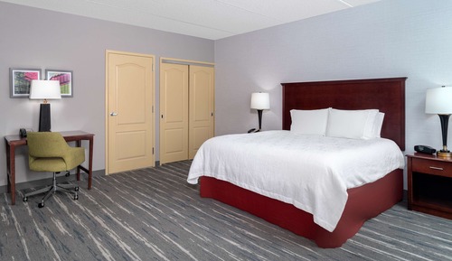 1 King Hearing Accessible Studio Suite w/ Sofabed 