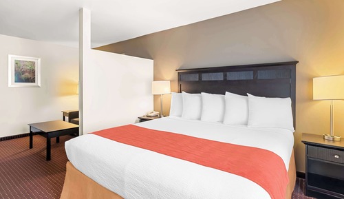 Suite, 1 King Bed with Sofa bed, Non Smoking, Microwave (with Sofabed)