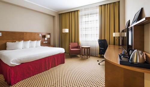 Room, 1 King Bed