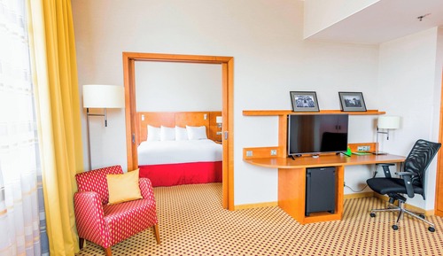 Studio, 1 King Bed with Sofa bed