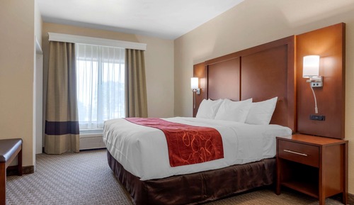Suite, 1 King Bed with Sofa bed, Accessible, Non Smoking