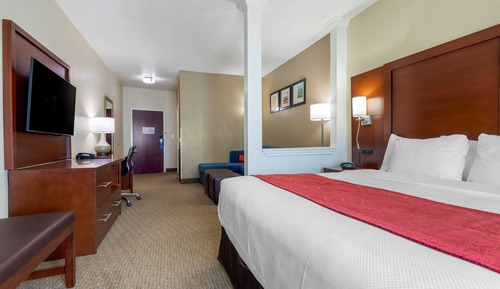 Suite, 1 King Bed with Sofa bed, Non Smoking
