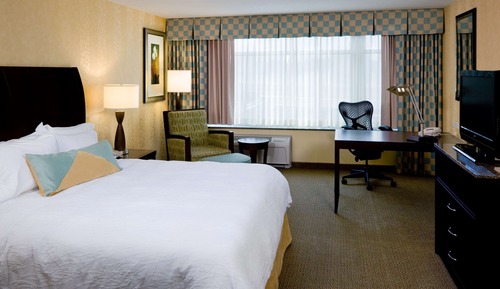 One king bed evolution room