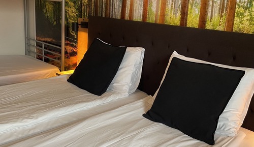 Premium Room With Bunk Bed