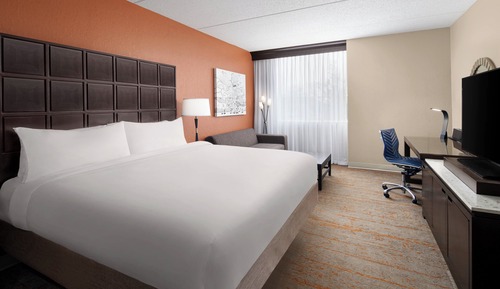 Room, 1 King Bed with Sofa bed (Hearing Accessible)