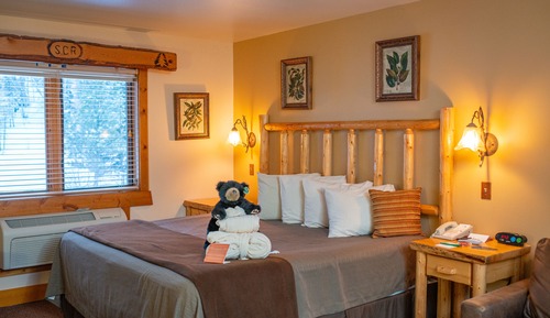 Burlington Suite