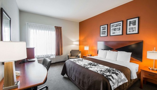 Standard Room, 1 King Bed, Non Smoking