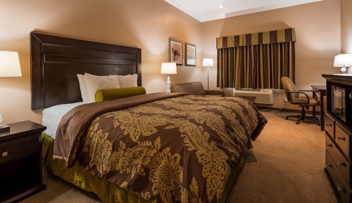 Standard Room, 1 King Bed, Non Smoking, Refrigerator & Microwave