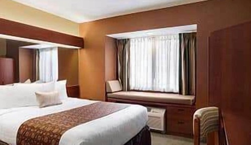 Suite, 1 Queen Bed