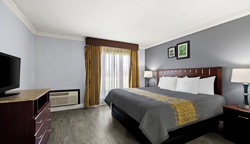 Executive Suite, 1 King Bed with Sofa bed, Non Smoking, Kitchenette