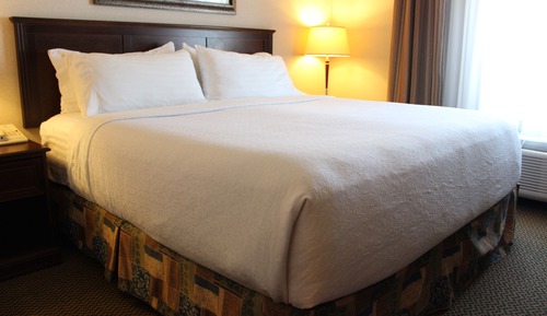Suite, 1 King Bed