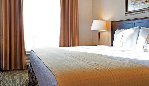 Standard Room, 1 King Bed, Accessible Bathtub (Mobility)