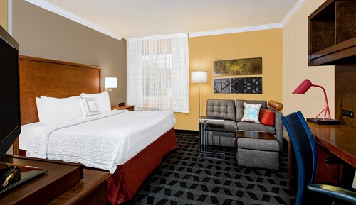 Deluxe Studio, 1 King Bed with Sofa bed (Hearing Accessible)
