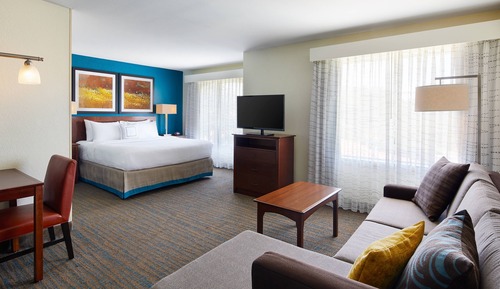 Studio Suite, 1 King Bed with Sofa bed (Mobility/Hearing Access, Roll-In Shwr)