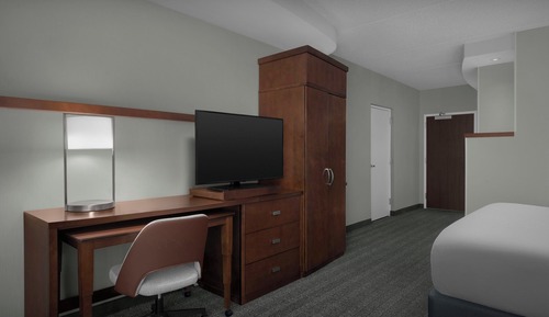 Room, 1 King Bed with Sofa bed